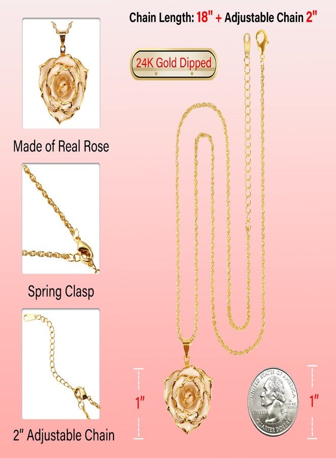 AliveRose Gold-Plated Necklace Gifts for Women, 24K Gold-Plated Real Rose Pendant Necklace Mothers Day Anniversaries Birthday Christmas Valentine's Day Gifts for Her (Ivory) - Image 3